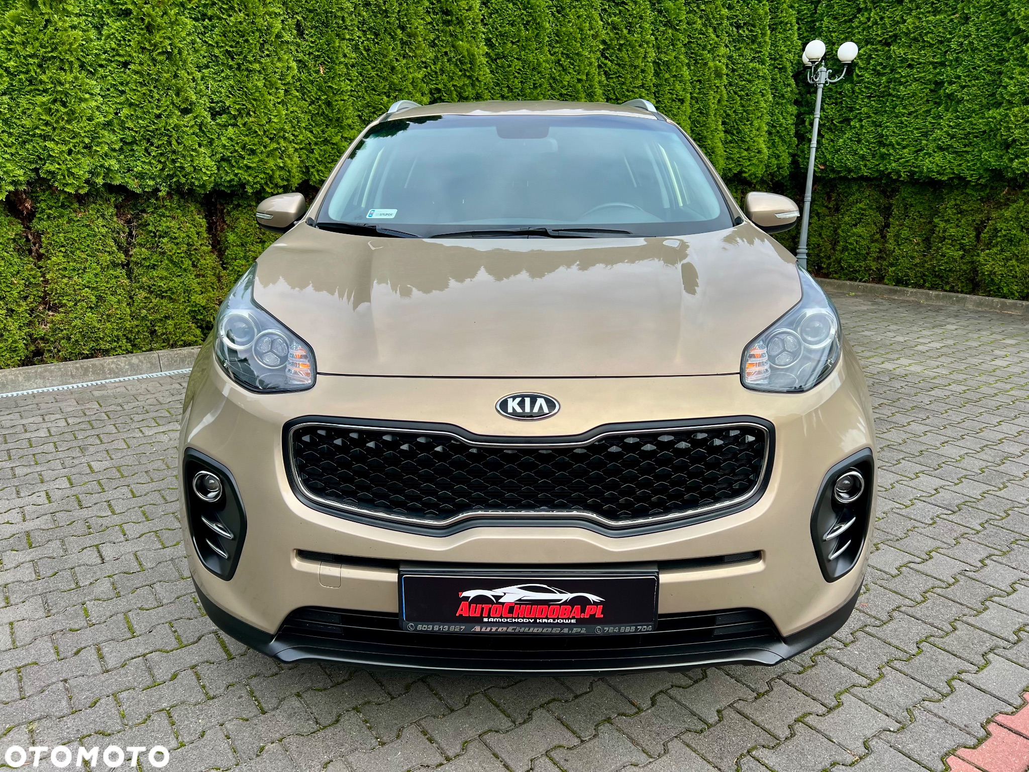 Kia Sportage 1.6 GDI M 2WD - 2