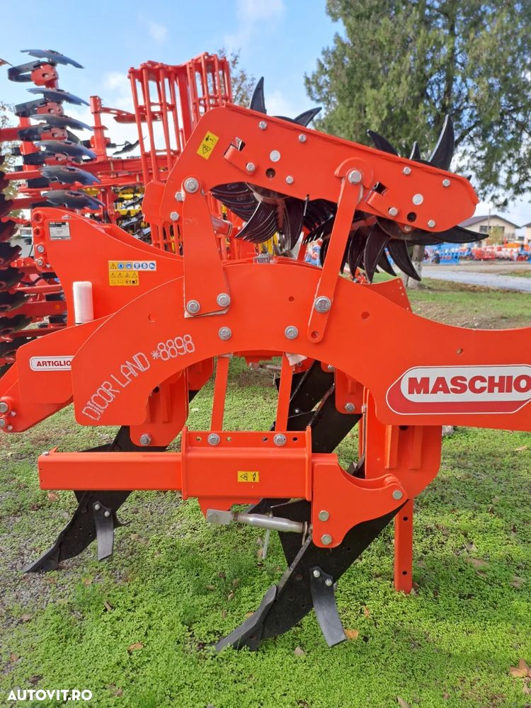 Maschio Scarificator Artiglio Magnum 250/5 - 2