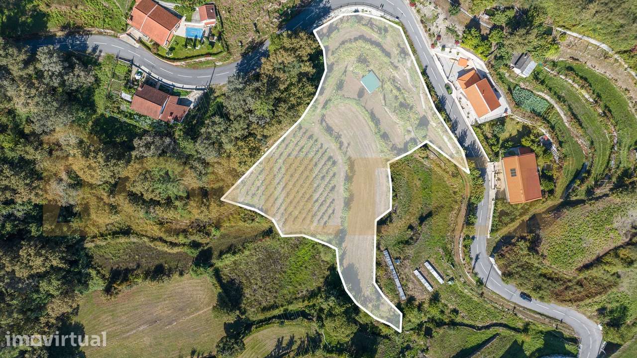 Terreno com vinha em Brunhais, Póvoa de Lanhoso - Grande imagem: 5/26