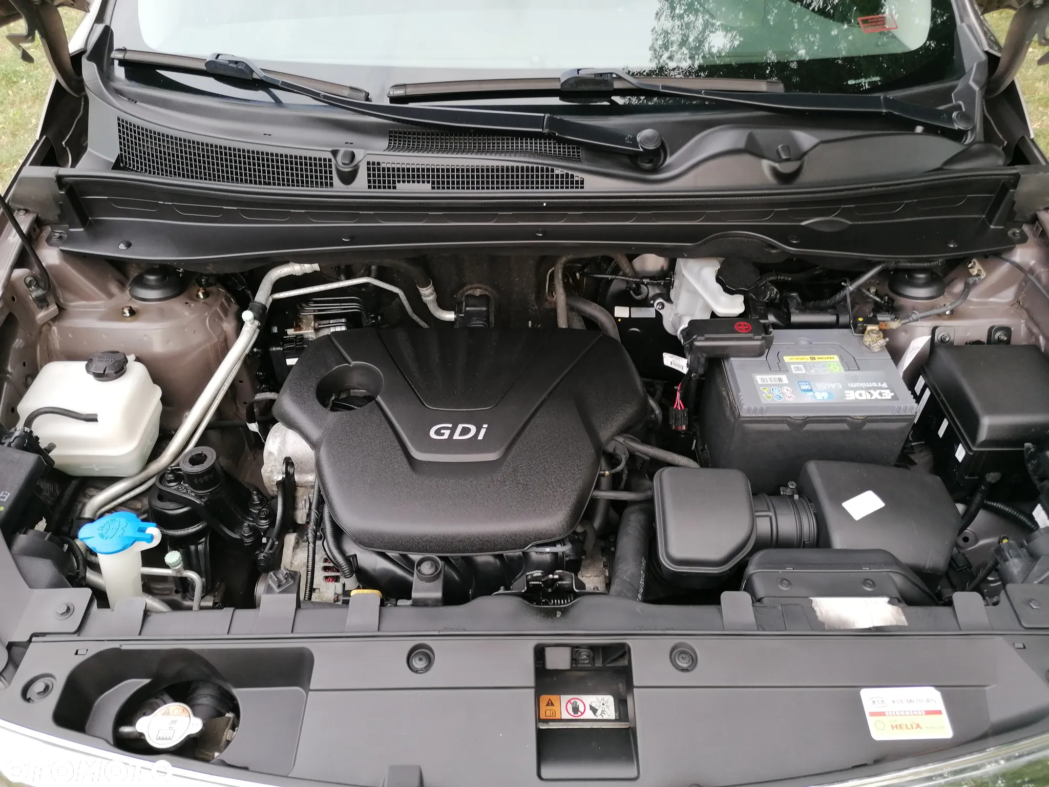Kia Sportage 1.6 GDI L 2WD - 6