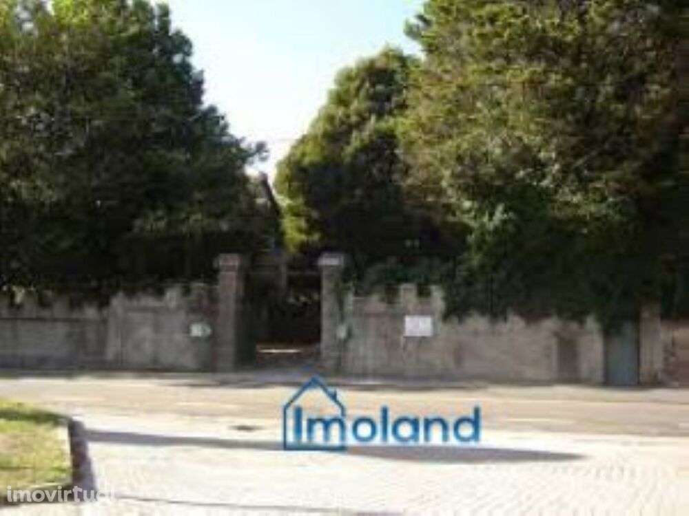 Excelente Quinta na região da Bairrada - Grande imagem: 3/25