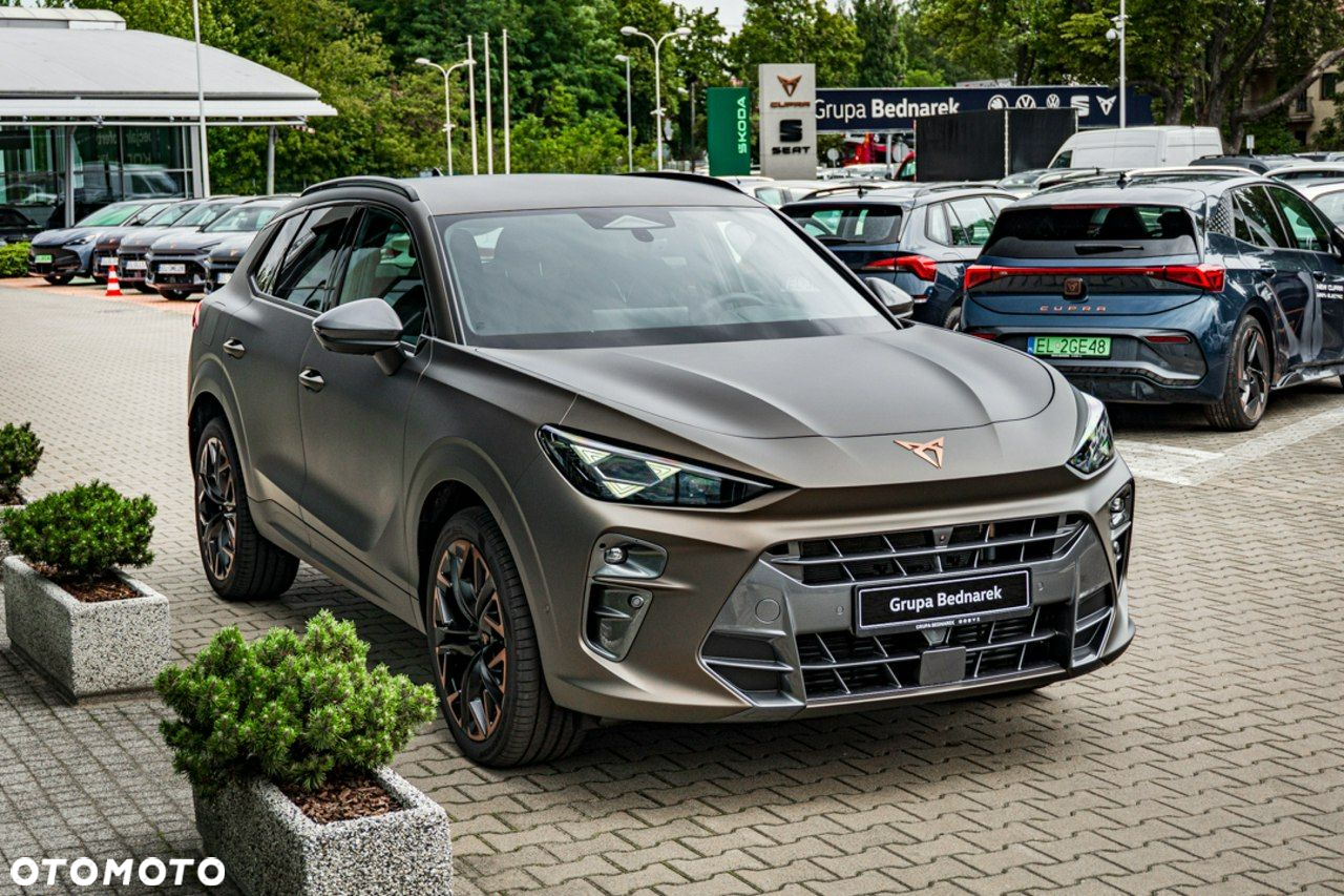 Cupra Terramar - 6