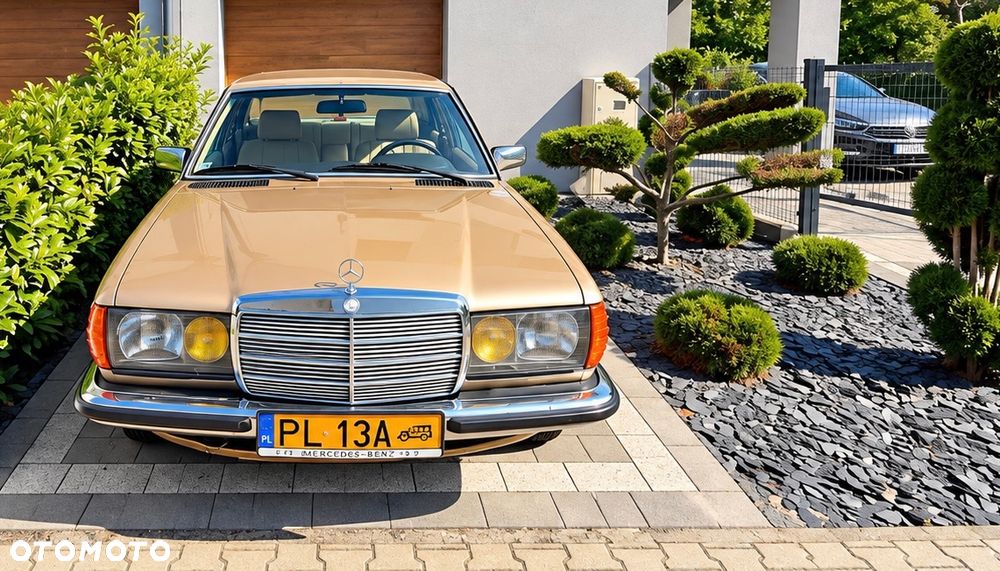 Mercedes-Benz W123 - 2