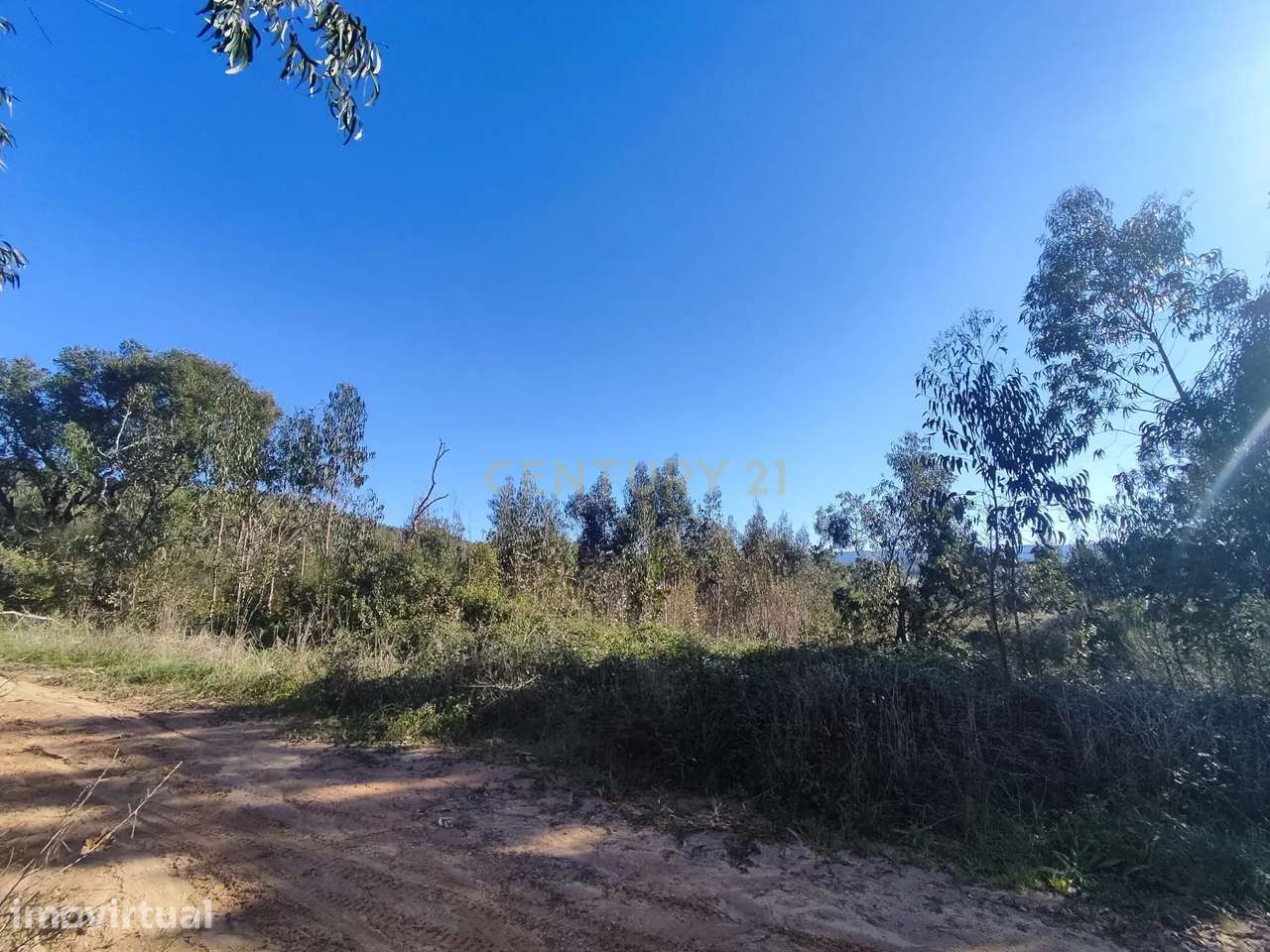 Terreno Rustico em Vale Rendeiro Maiorga - Grande imagem: 2/7