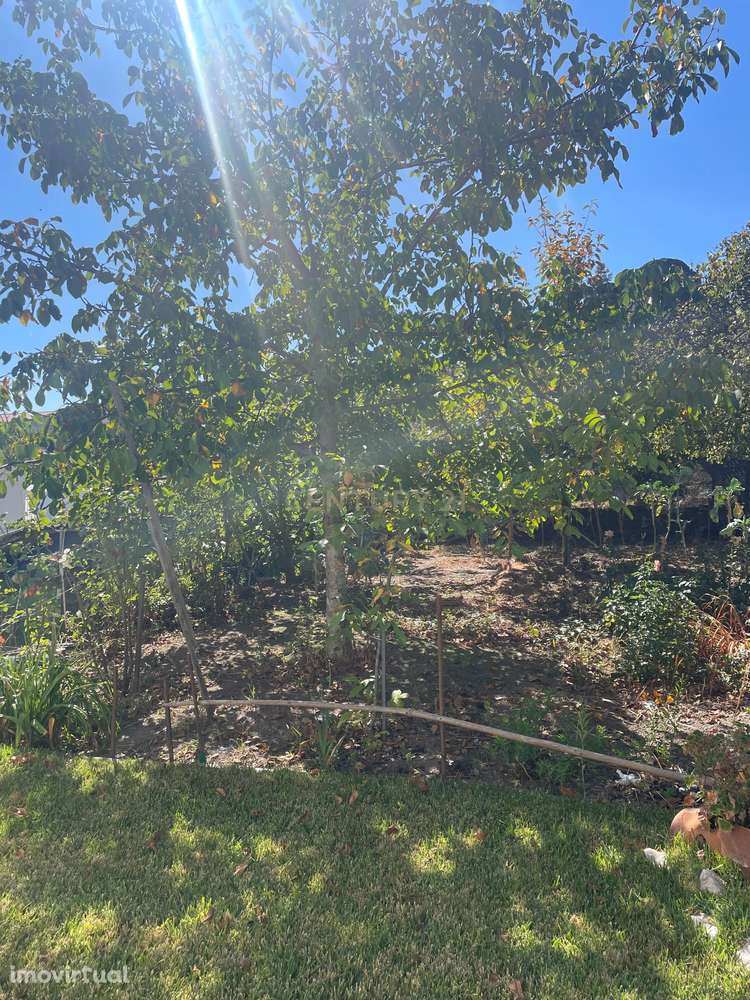 Moradia isolada T3 em Aguiar da Beira - Grande imagem: 4/24