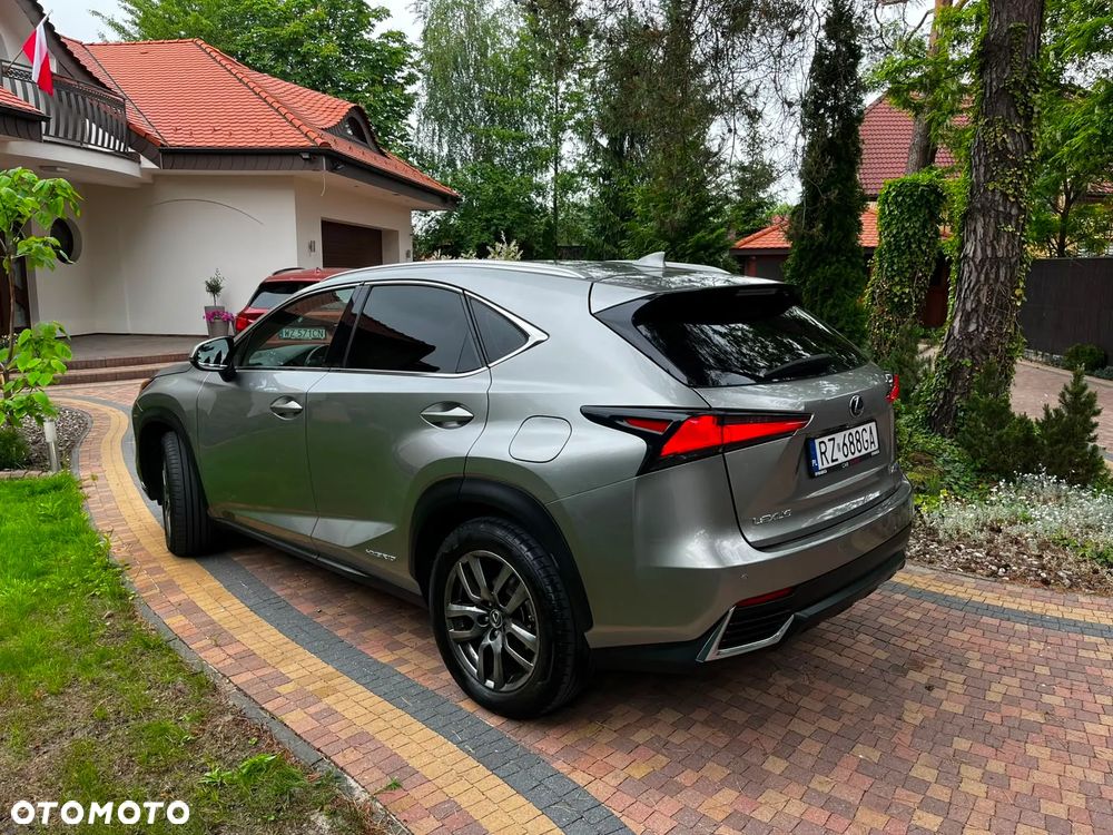 Lexus NX 300h Business Edition AWD - 2
