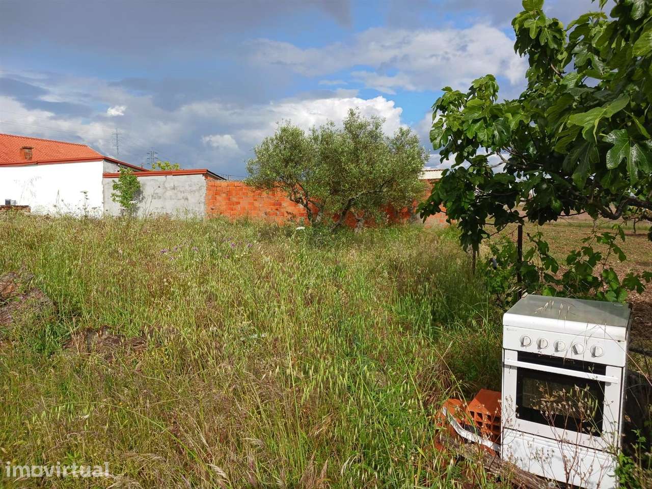 Terreno - Grande imagem: 4/6