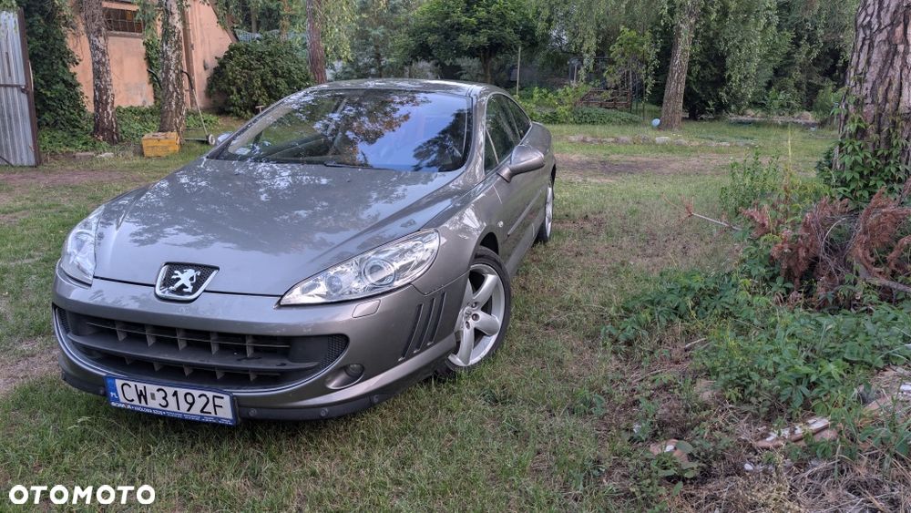 Peugeot 407 - 1