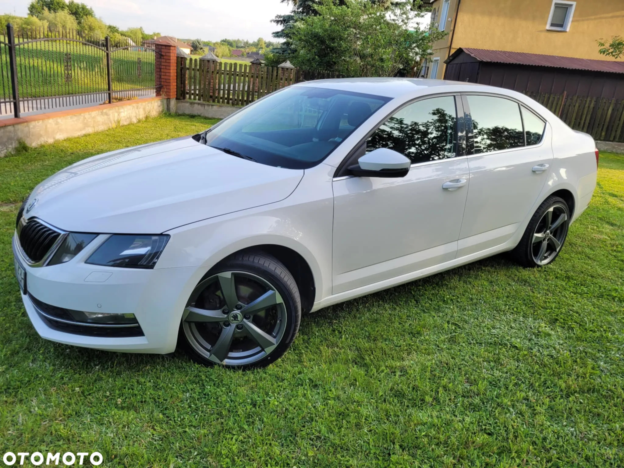 Skoda Octavia - 8