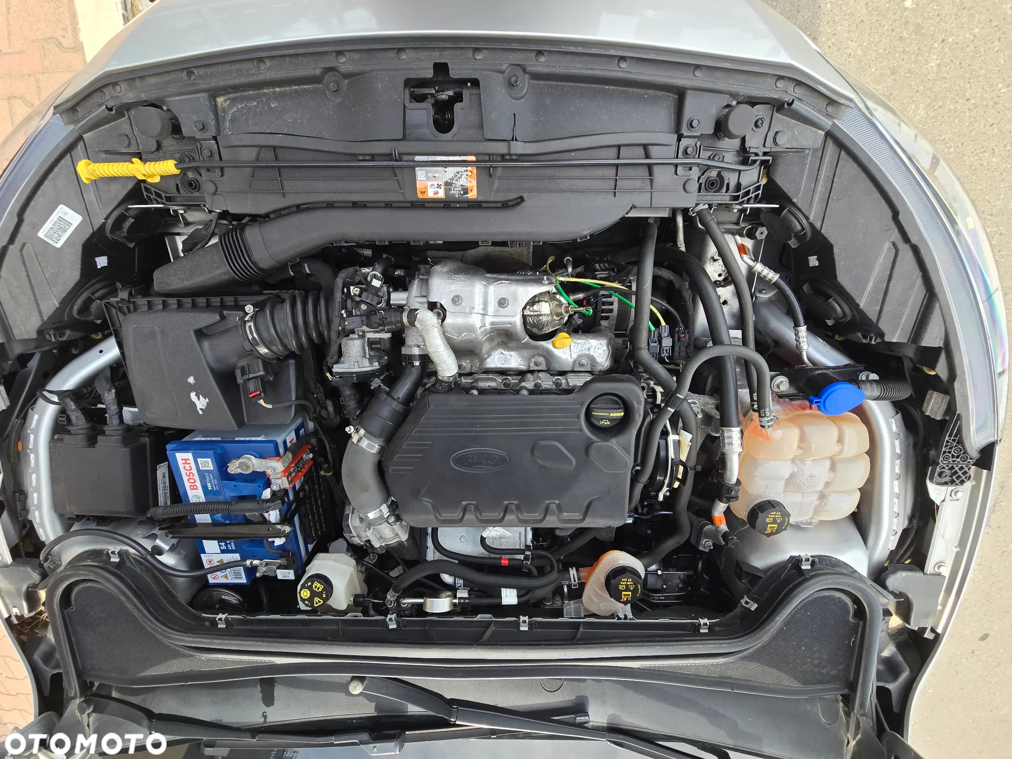 Ford Focus - 29