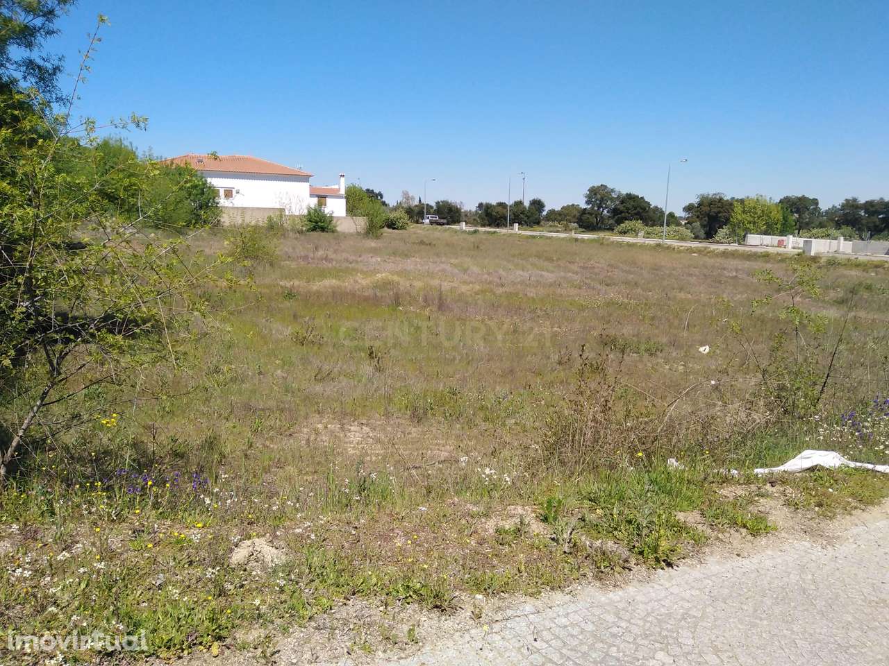 Terreno Urbano para Recuperação em Escalos de Cima, Castelo Branco - Grande imagem: 4/4