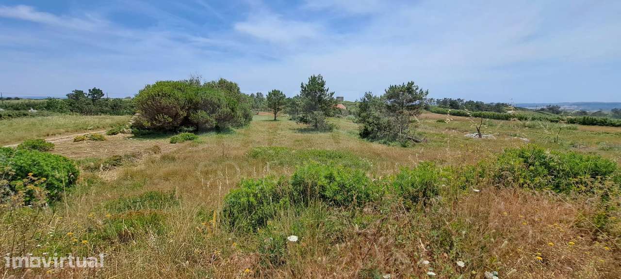 2 Lotes de Terreno (Rústicos) Serra dos Mangues, São Martinho do Porto - Grande imagem: 2/5