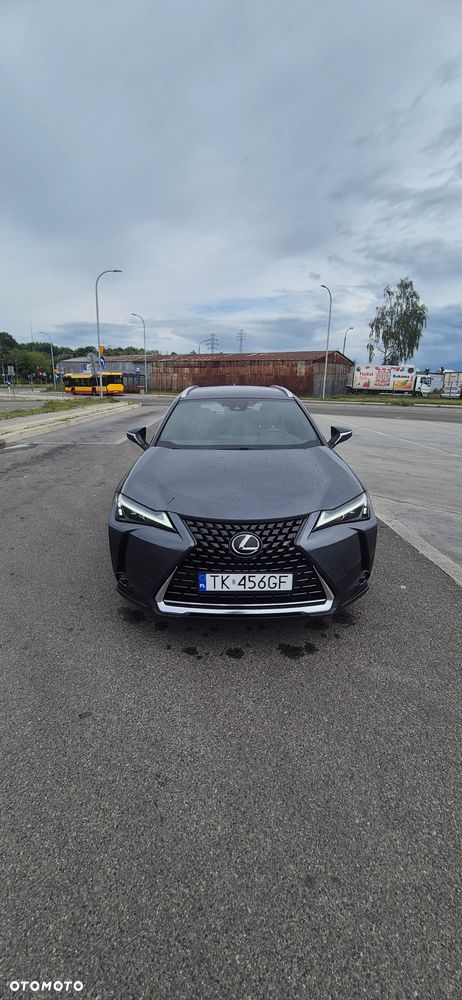 Lexus UX 250h - 8
