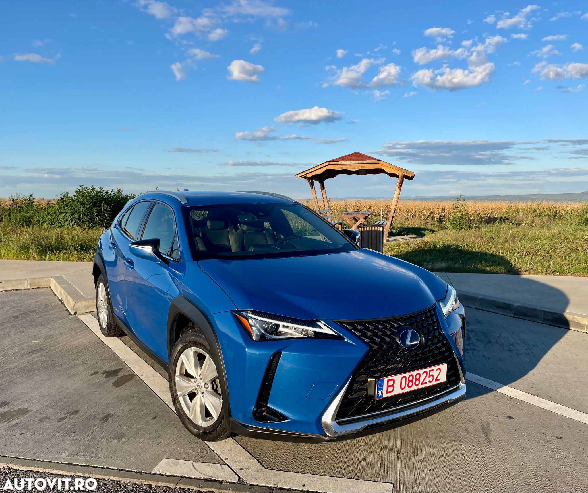 Lexus UX 250h Business Edition - 1
