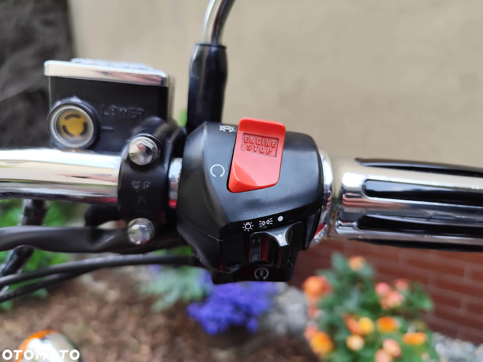 Honda Shadow - 21