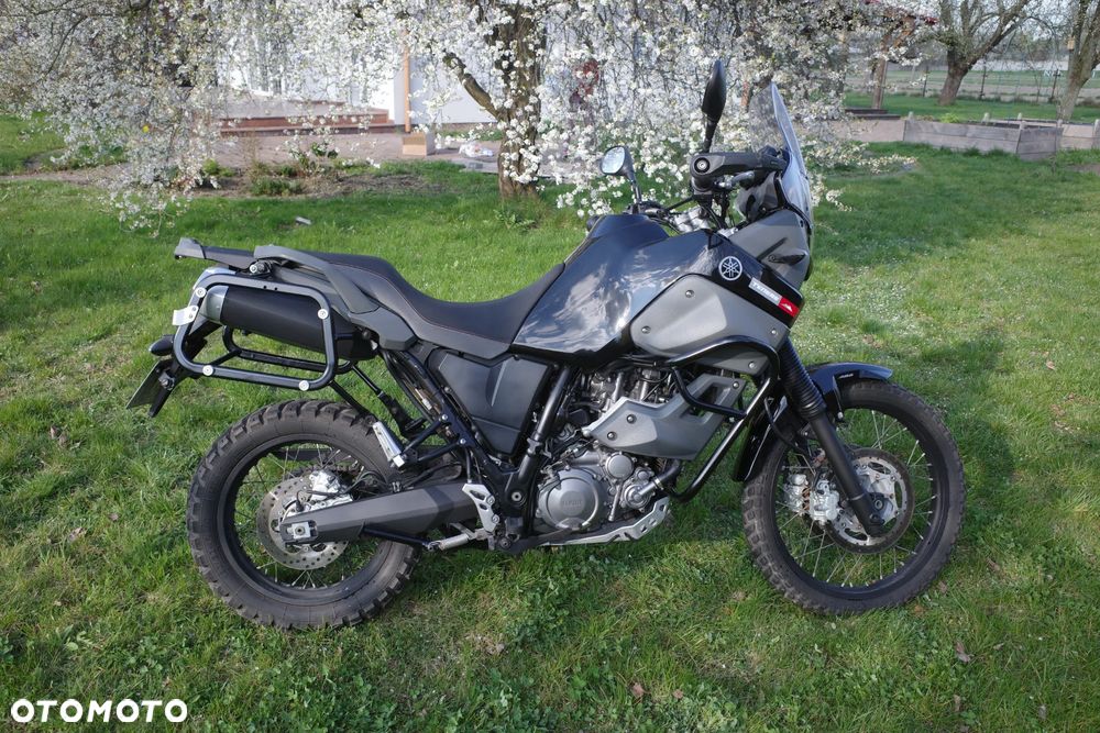 Yamaha XT - 19