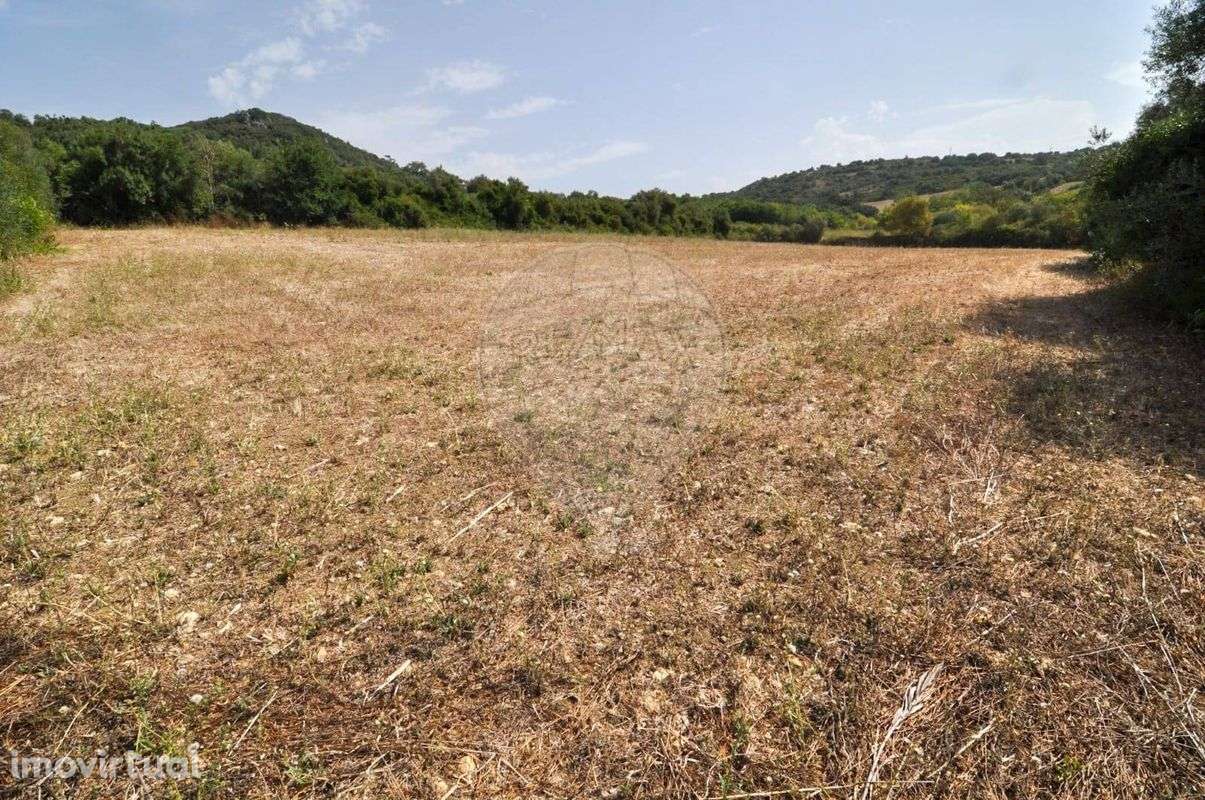 Terreno  para venda - Grande imagem: 5/6