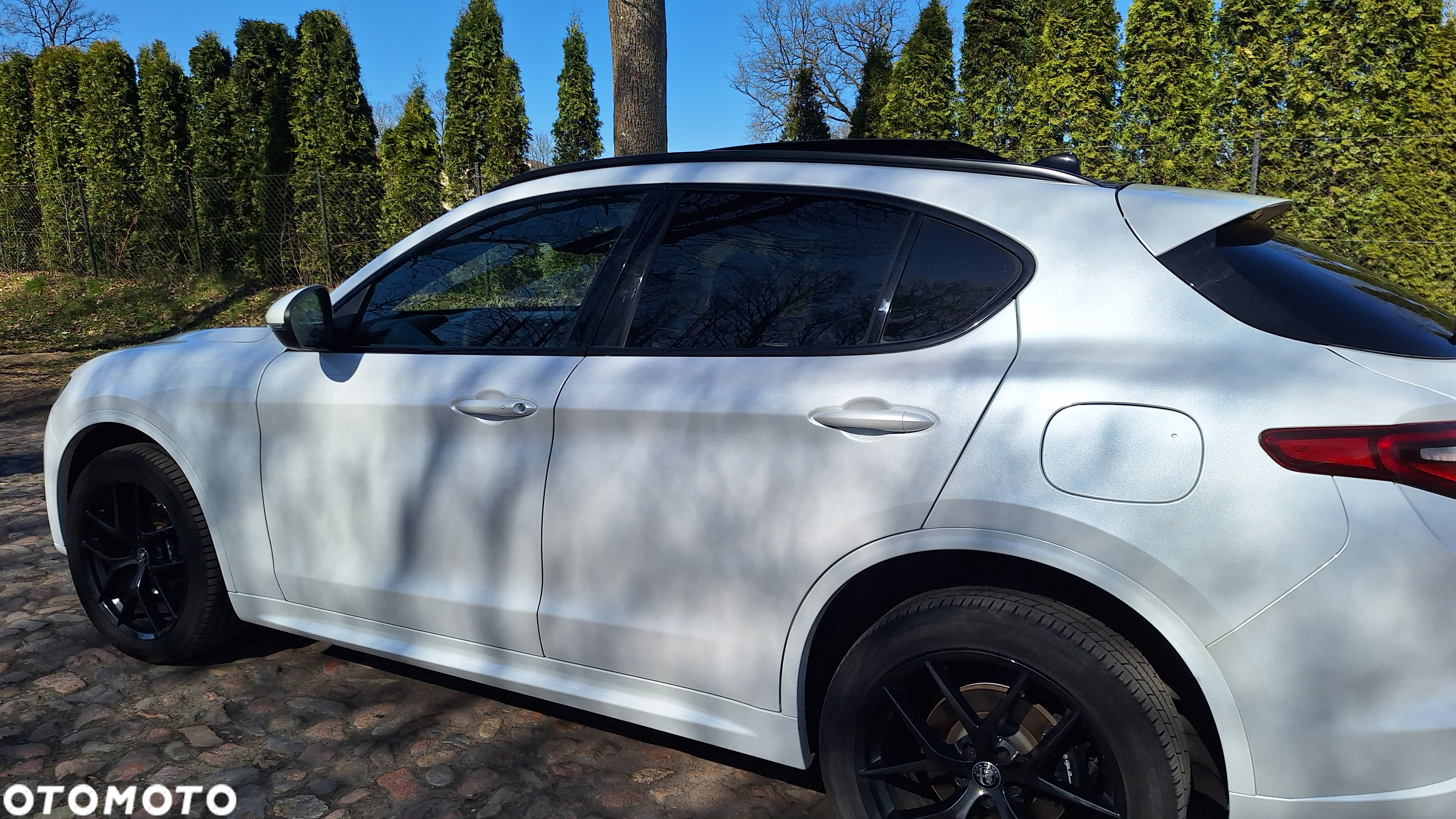 Alfa Romeo Stelvio 2.0 Turbo 16V AT8-Q4 Veloce Ti - 8