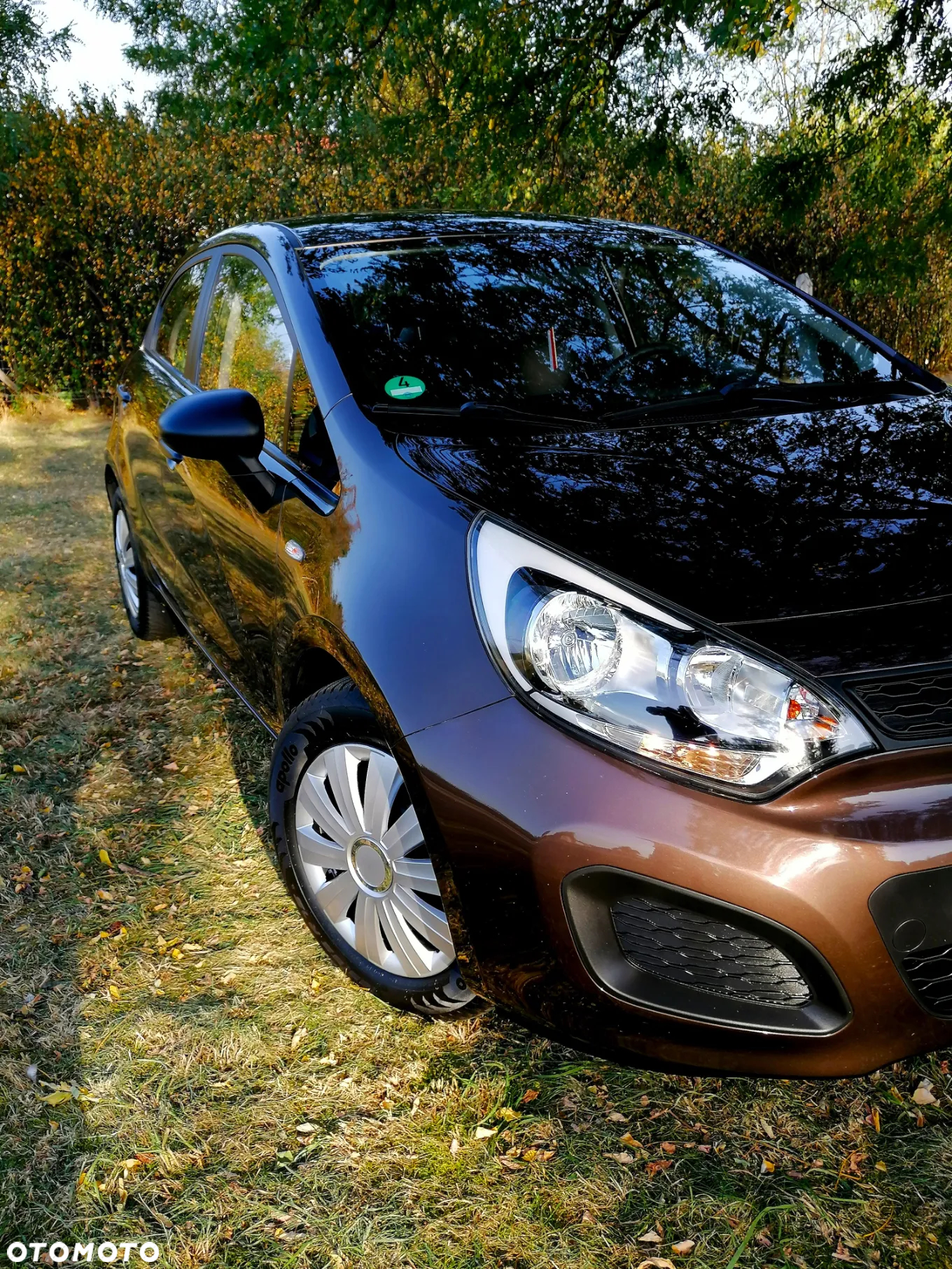 Kia Rio 1.4 Dream Team Edition - 15