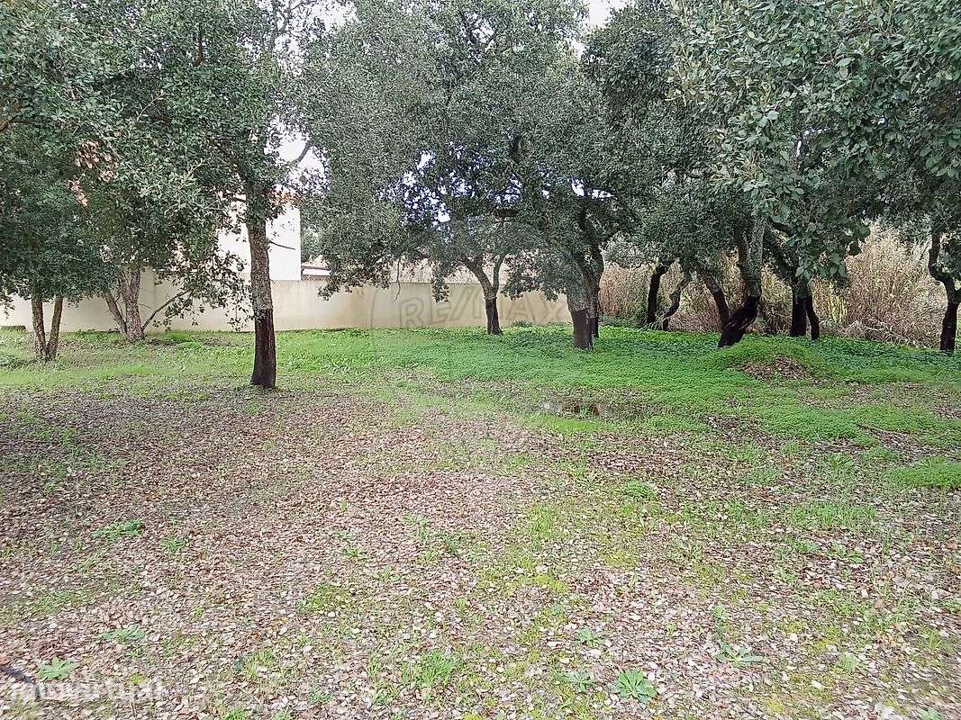 Terreno  para venda - Grande imagem: 2/9