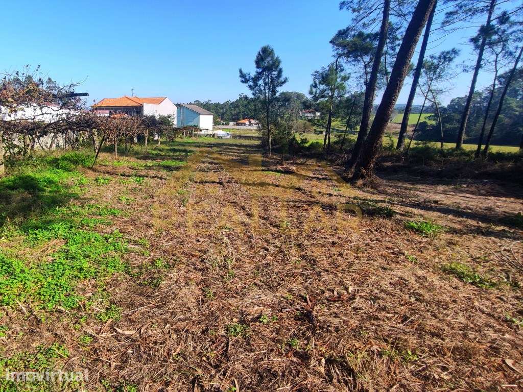 Terreno ideal para moradia de sonho - 1600 m²,90% construção - Grande imagem: 3/25