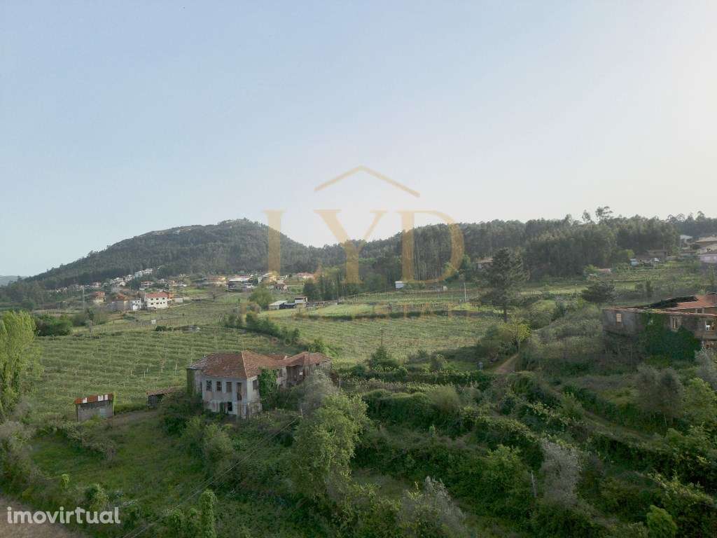 Quinta Com projeto para Hotel Rural - Grande imagem: 3/20