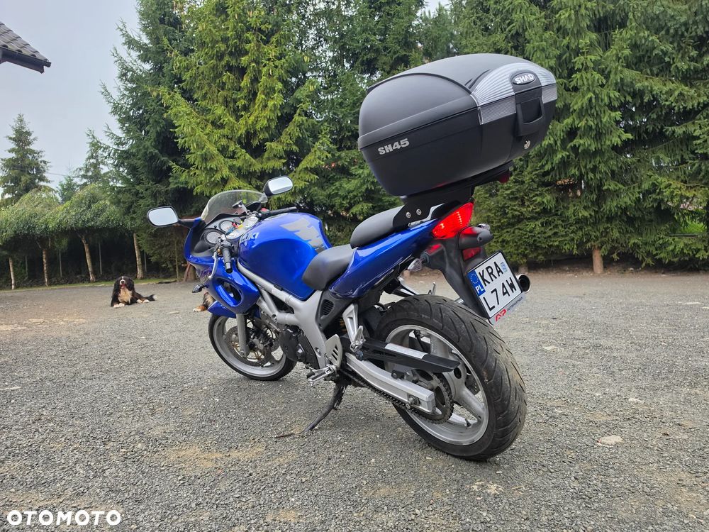 Suzuki SV - 2