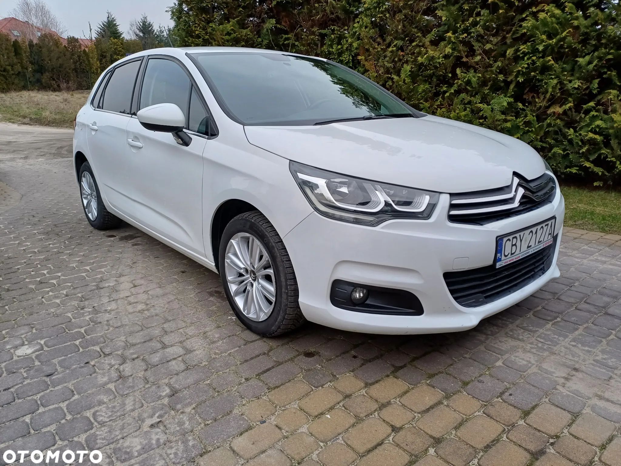 Citroën C4 BlueHDi 100 Business Class - 1