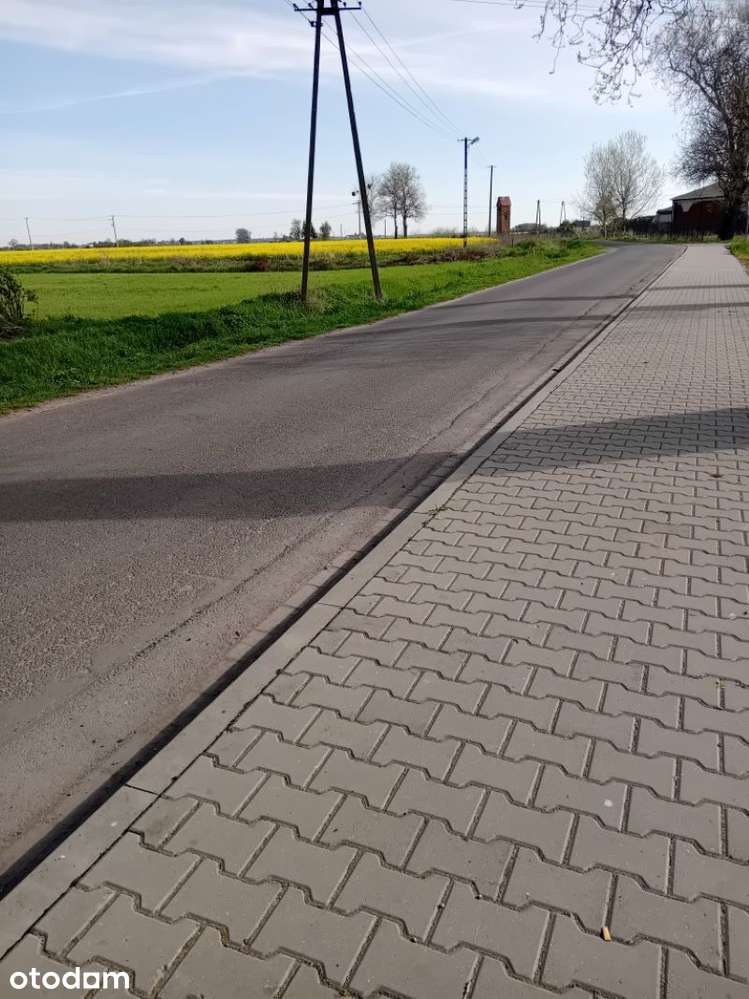 Sprzedam działkę z warunkami zabudowy Orłowo, gm. Ryczywół - Pełny obrazek: 2/2