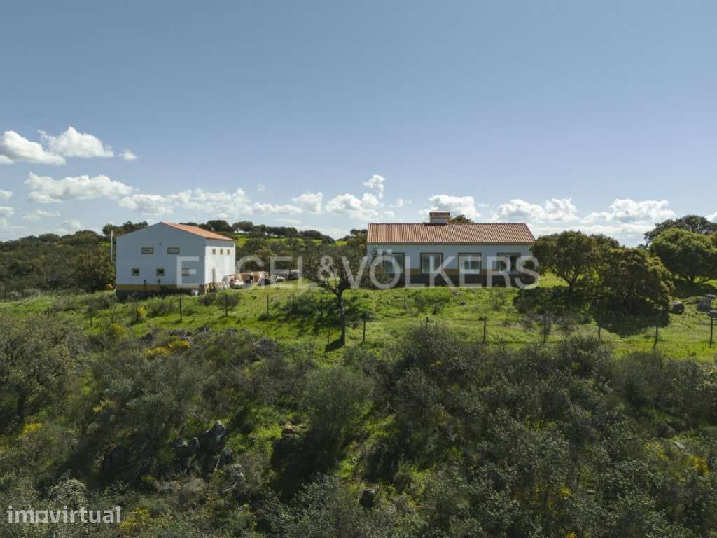 Propriedade Exclusiva com Vista e Acesso ao Alqueva - Grande imagem: 2/45