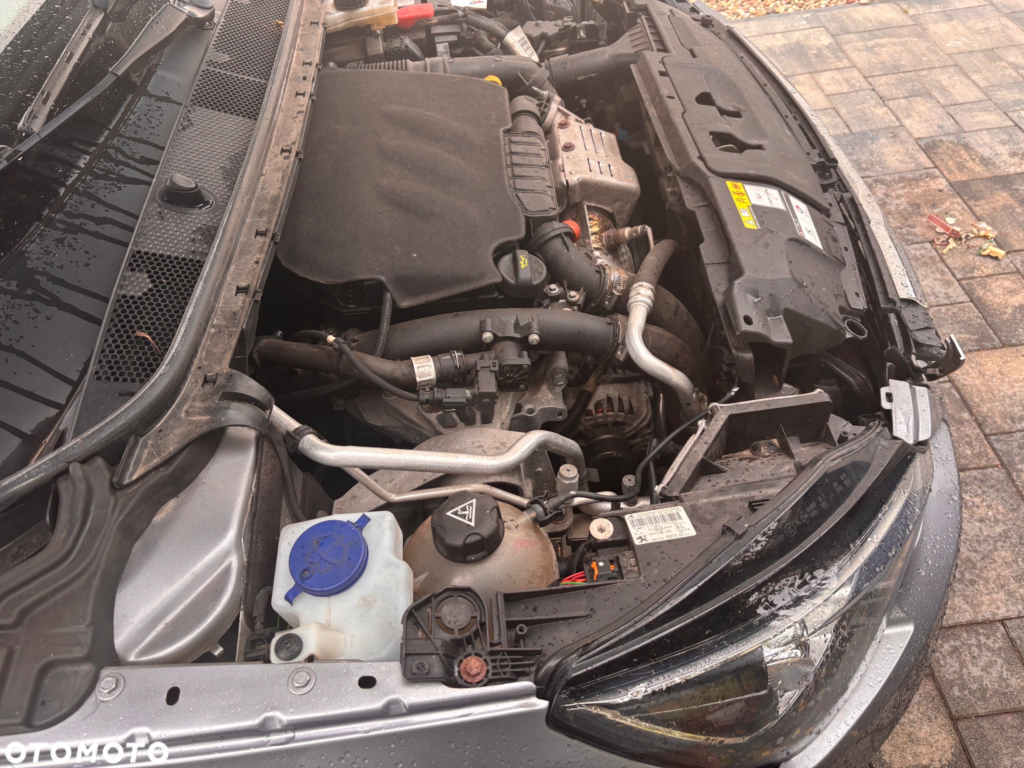 Peugeot 308 SW PureTech 110 Stop & Start Active Pack - 13