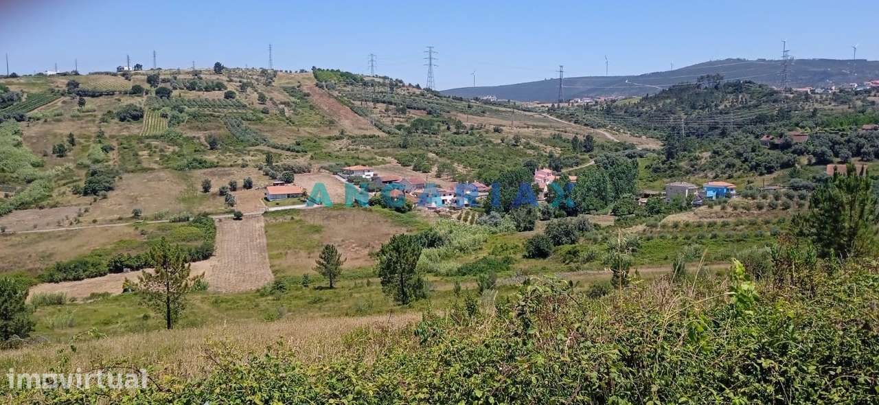 ANG1487 - Terreno para Venda em Batalha - Grande imagem: 2/4
