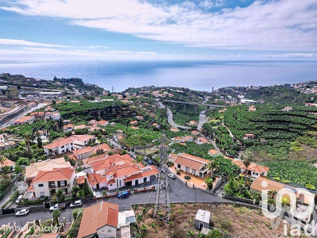 Terreno Agrícola em São Martinho - Grande imagem: 5/10