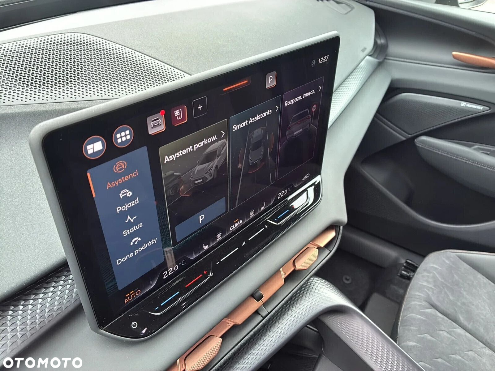 Cupra Terramar - 10