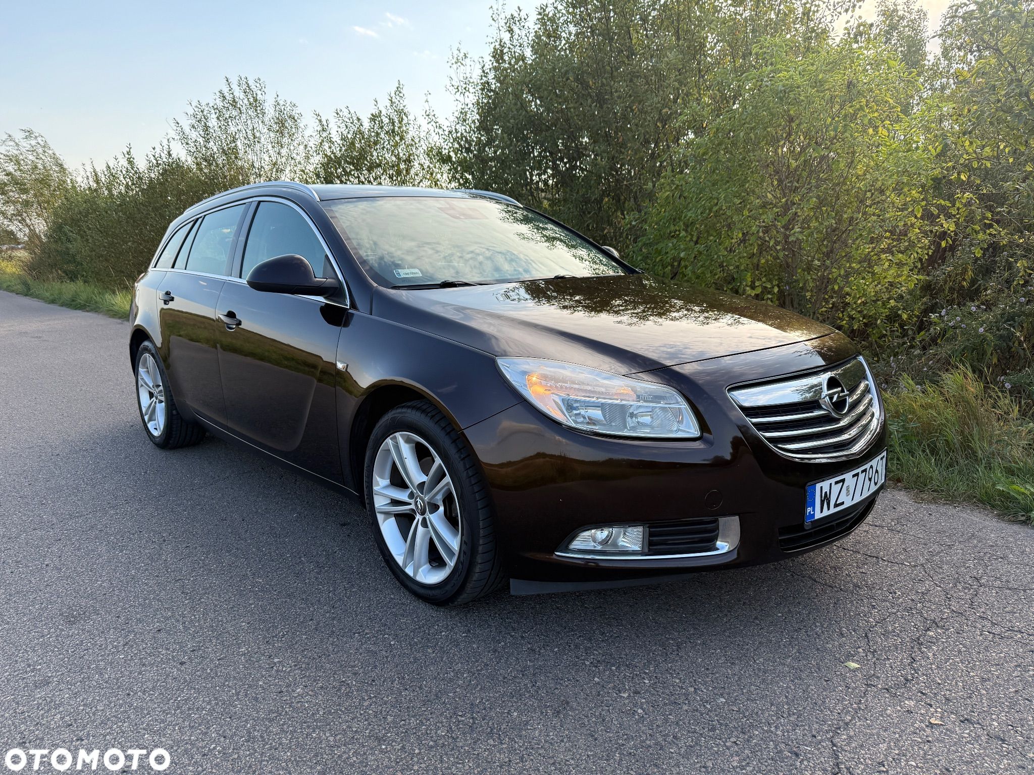 Opel Insignia 2.0 CDTI - 1