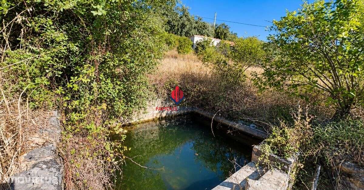 QUINTA COM VISTA MAR NA SERRA DE MONCHIQUE | 18.680 m2 DE TERRENO... - Grande imagem: 3/54