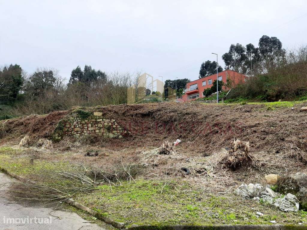 Terreno com 4 Lotes - 1056m2 - 50 metros Rio Douro - Grande imagem: 5/14