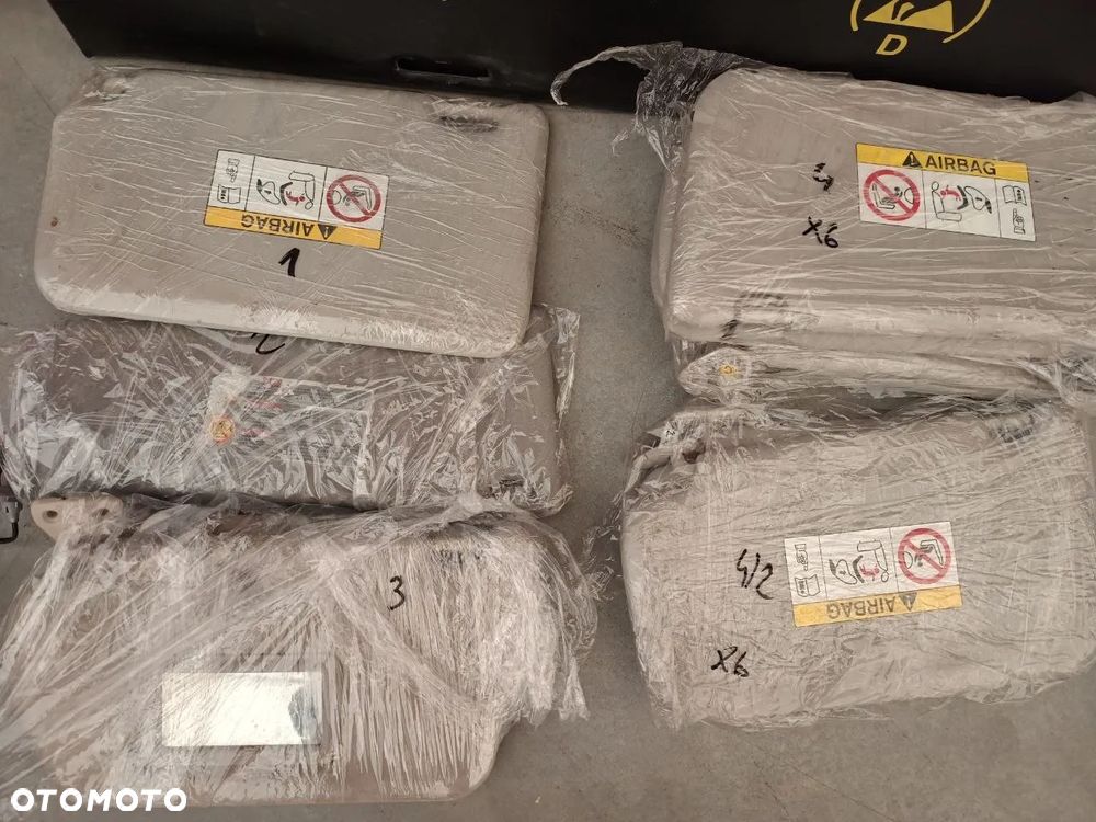 SŁONECZNIKI NISSAN/MITSUBISHI - 2