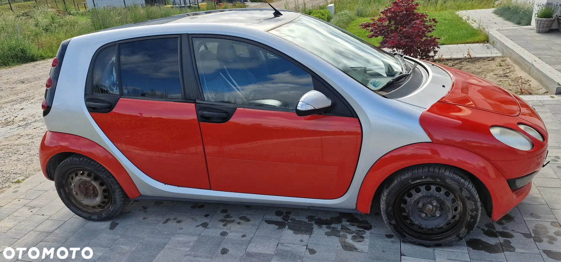 Smart Forfour softtouch passion - 2