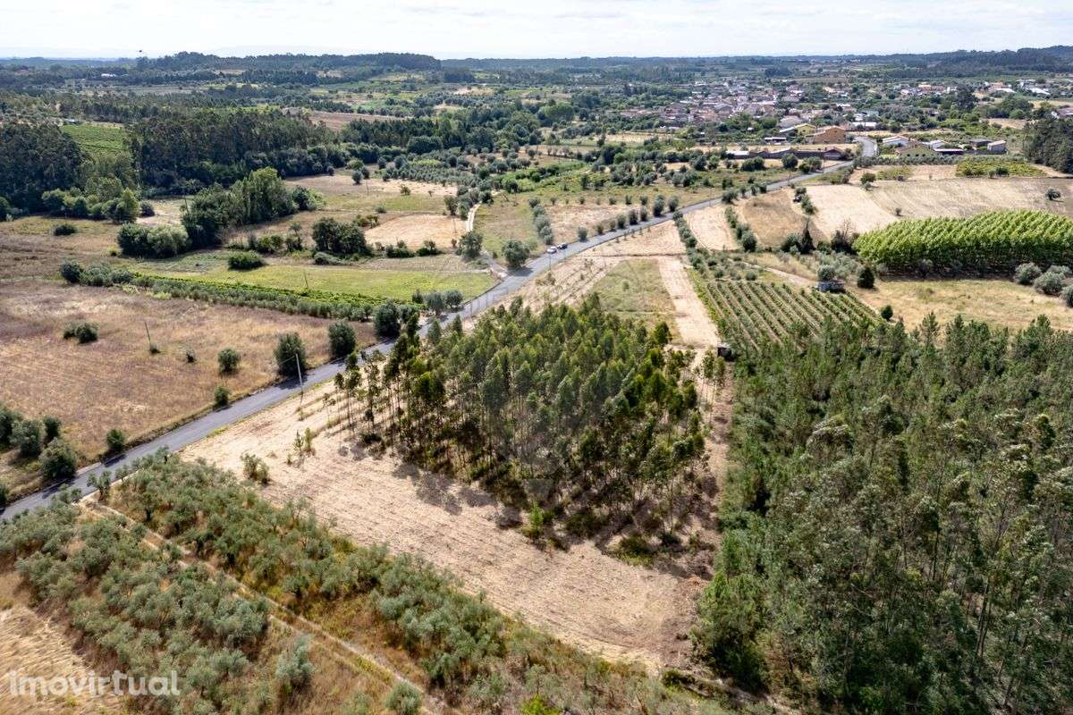 Terreno  para venda - Grande imagem: 4/9