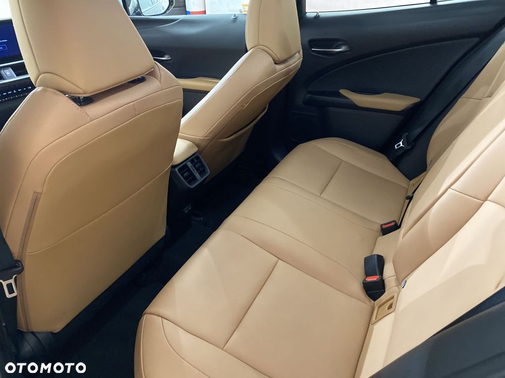 Lexus UX 250h GPF F Sport Design 2WD - 15