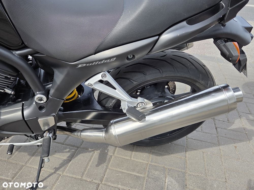 Yamaha Bulldog - 32