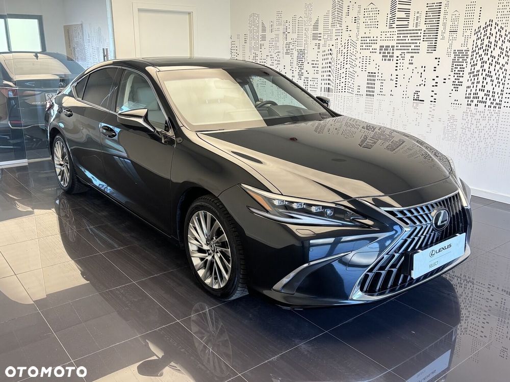 Lexus ES 300h Omotenashi - 7