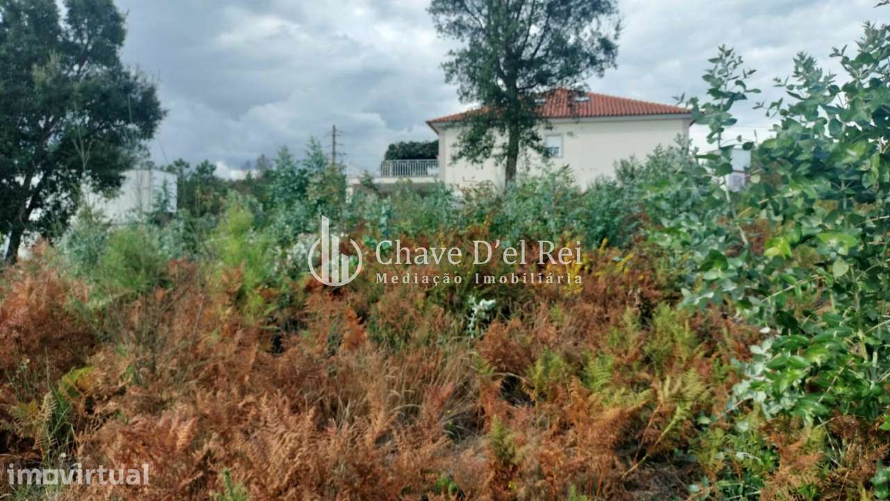 Terreno Para Construção  Venda em Cavernães,Viseu - Grande imagem: 5/11