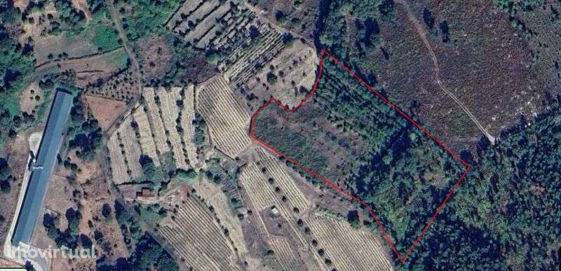 Vende-se Terreno - ALCAFACHE - Grande imagem: 2/2