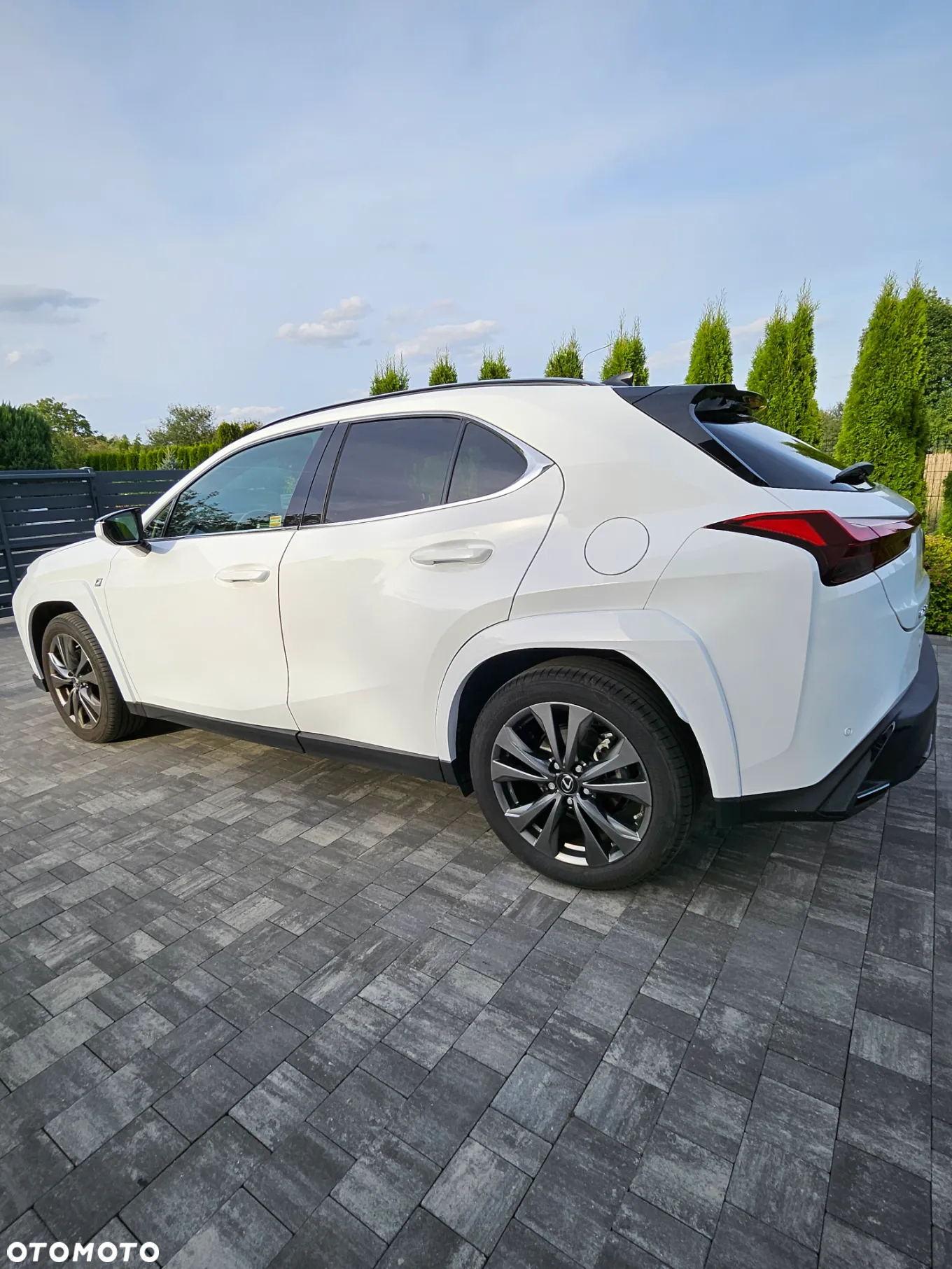 Lexus UX 250h GPF F Sport 2WD - 5