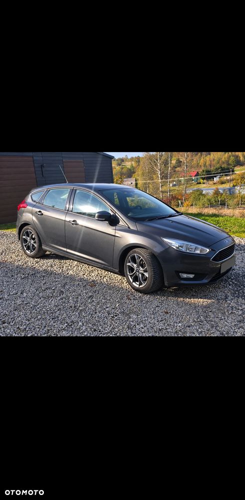 Ford Focus - 2