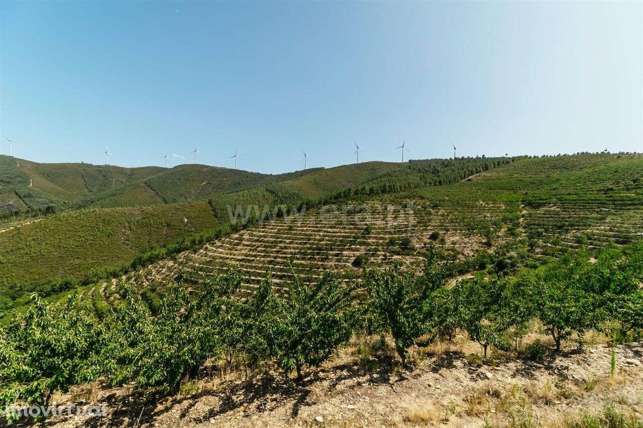 Quinta Estúdio / Fundão, Castelejo - Grande imagem: 3/20