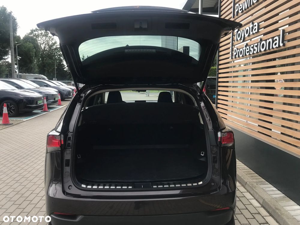 Lexus NX 300h Elite AWD - 12