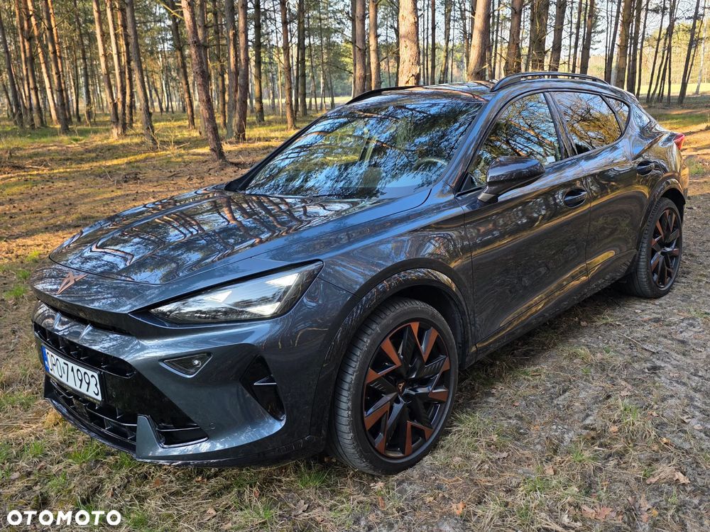 Cupra Formentor 2.0 TSI 4Drive DSG VZ - 2